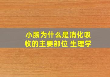 小肠为什么是消化吸收的主要部位 生理学